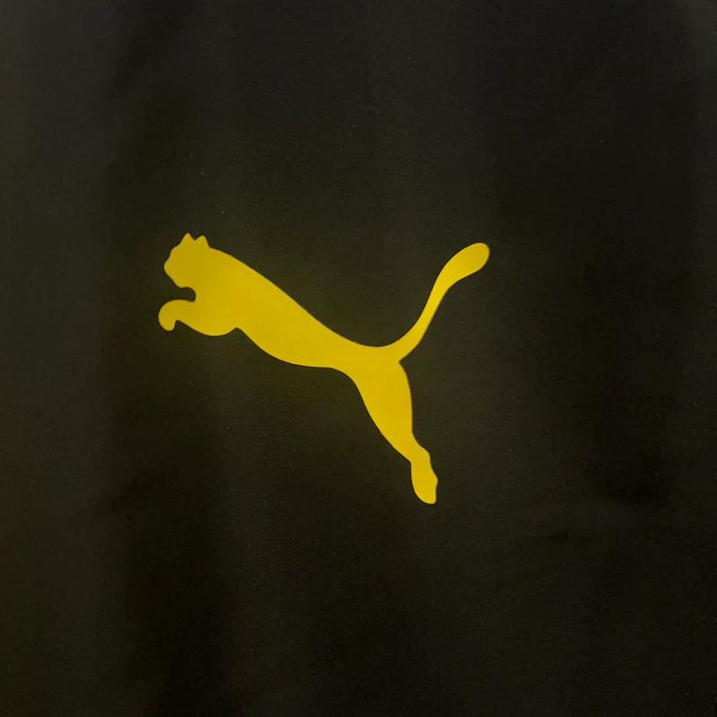 Puma Sponsor